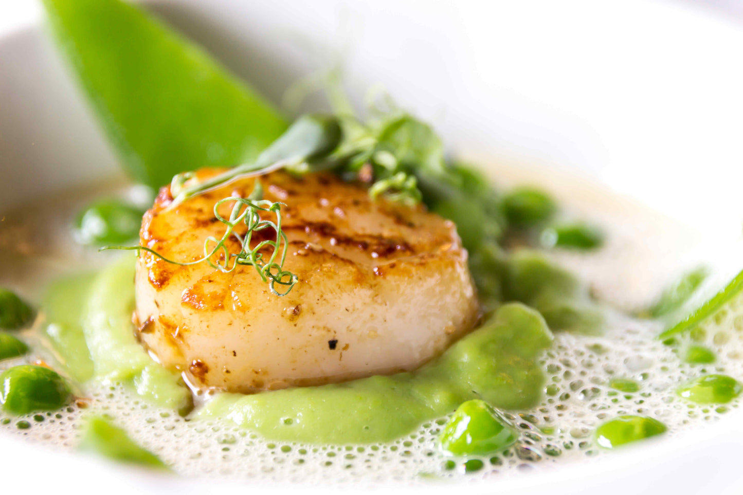 KOCHKURS - Feine Küche - Frühlingserwachen - Sa. 28. März 16:00 Uhr